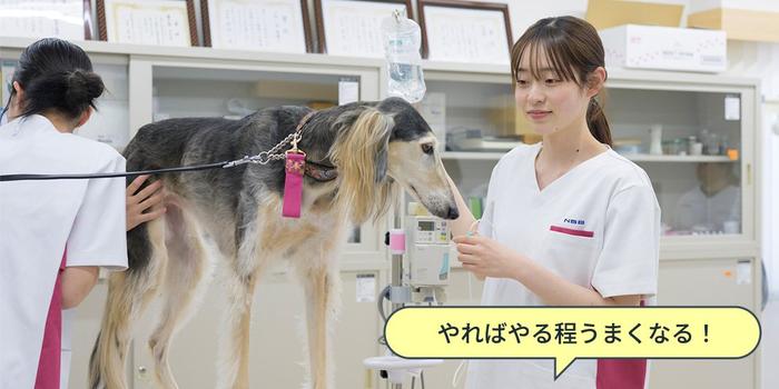 愛玩動物看護学科 | 専門学校名古屋ビジネス・アカデミー