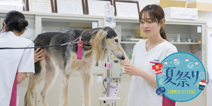 愛玩動物看護学科 | 専門学校名古屋ビジネス・アカデミー