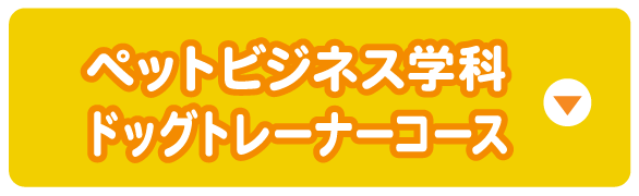 ペットビジネス学科 ドッグトレーナーコース
