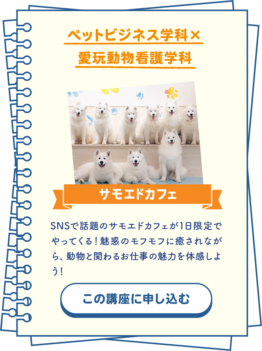 ペットビジネス学科×愛玩動物看護学科 サモエドカフェ