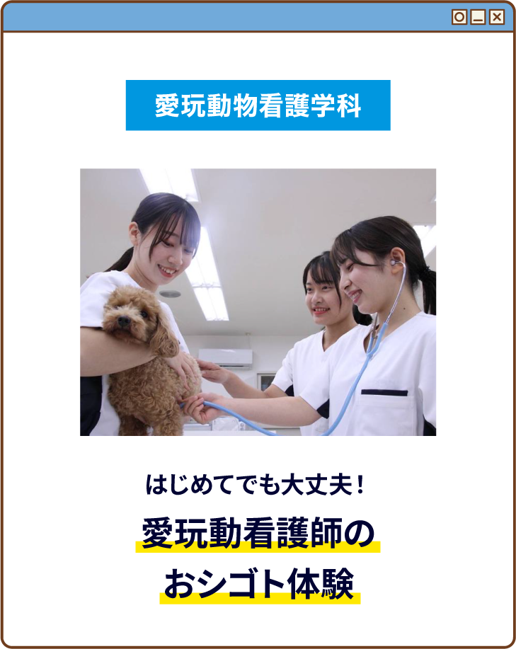 はじめてでも大丈夫！愛玩動看護師のおシゴト体験