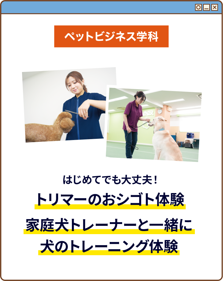 はじめてでも大丈夫！トリマーのおシゴト体験 家庭犬トレーナーと一緒に犬のトレーニング体験