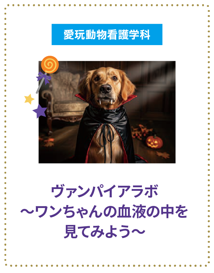 ヴァンパイアラボ〜ワンちゃんの血液の中を見てみよう〜