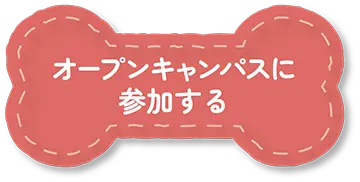 オープンキャンパスに参加する