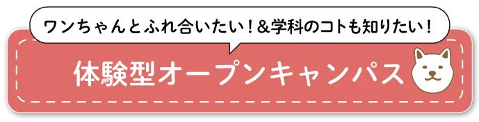 オープンキャンパスに参加する