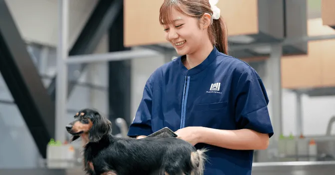 気になる分野をクリック！トリマー分野とは？