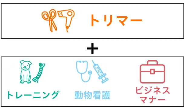 ビジアカが選ばれる5つの理由