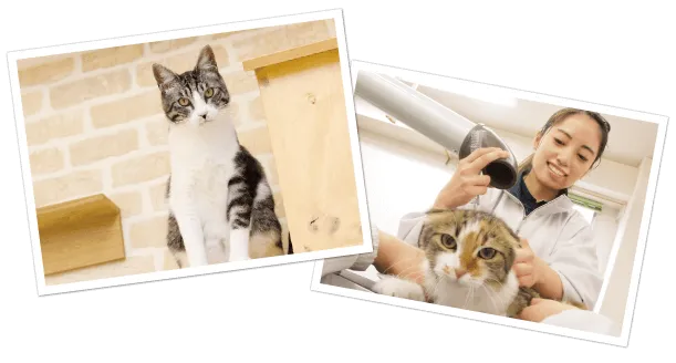 ビジアカが選ばれる5つの理由