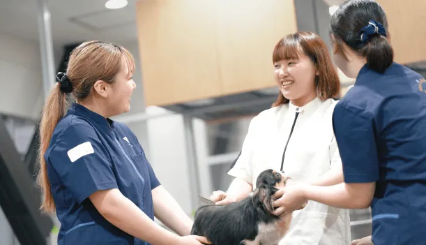 ビジアカが選ばれる5つの理由