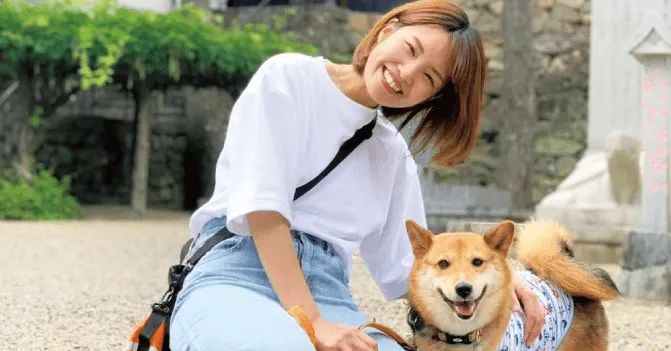 ビジアカのトレーナー分野とは？