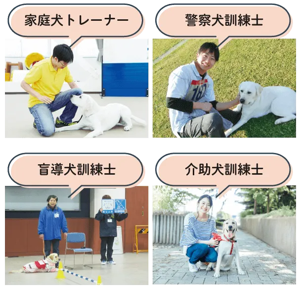 ビジアカが選ばれる5つの理由