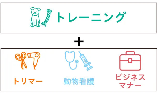 ビジアカが選ばれる5つの理由