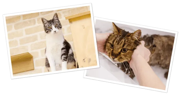 ビジアカが選ばれる5つの理由