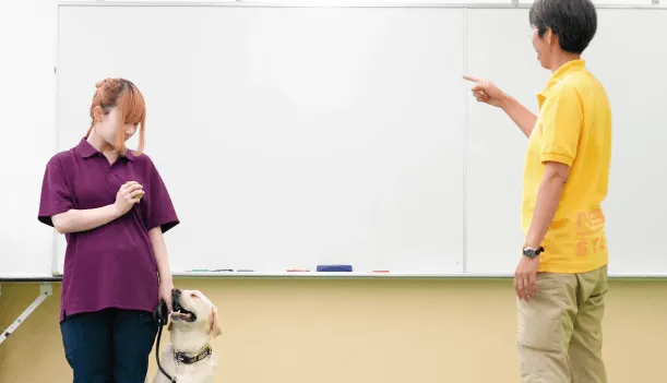 ビジアカが選ばれる5つの理由