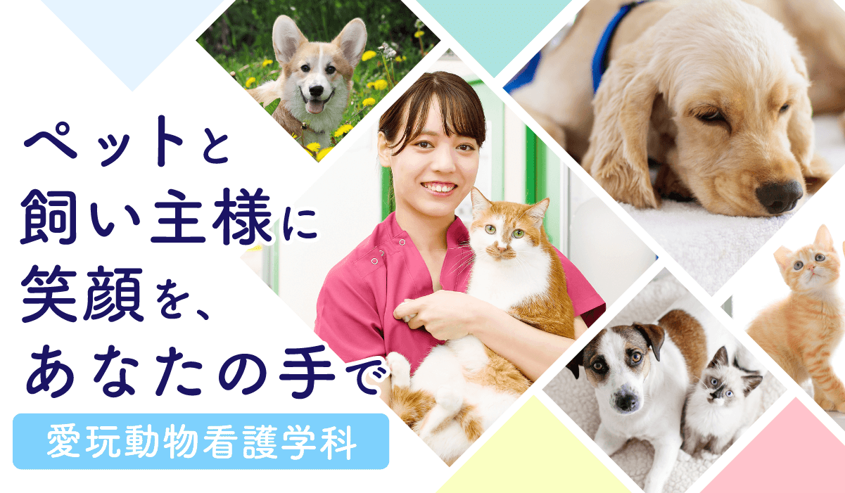 ペットと飼い主様に笑顔を、あなたの手で