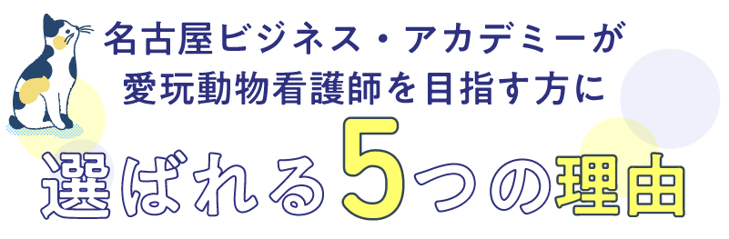 5つのポイント