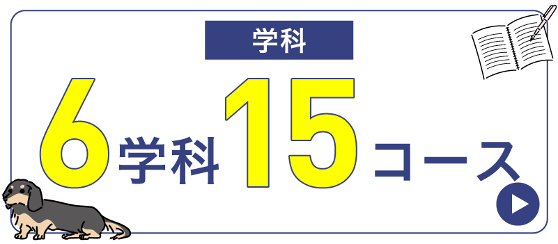 学科数５学科１３専攻