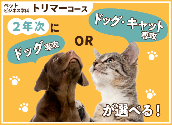 トリマーコース