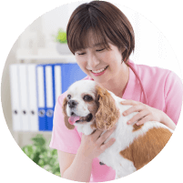 愛玩動物看護師